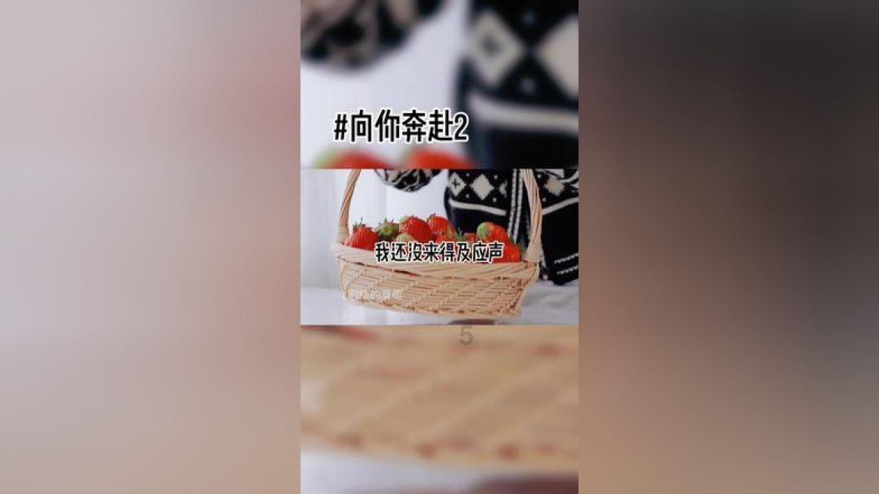 趣味沙滩球